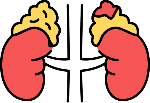 Adrenal